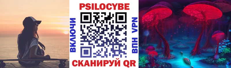 Галлюциногенные грибы Psilocybe  Зуевка 